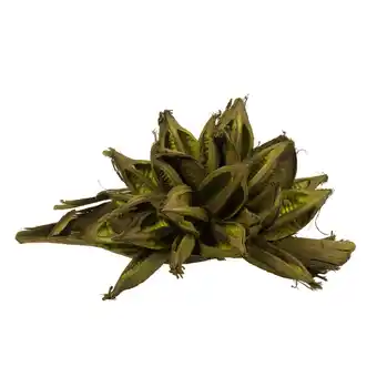 Walmart Vickerman 12-16 Basil Star Pod, Extra Large offer