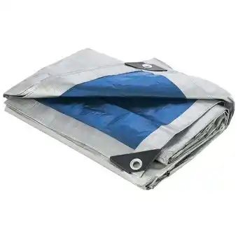 Walmart 20'' x 30'' All Purpose Blue Tarp offer