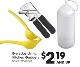 Ralphs Everyday Living Kitchen Gadgets offer