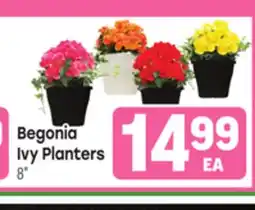 Tony’s Fresh Market Begonia Ivy Planters offer