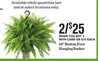 Mariano's 10 Boston Fern Hanging Basket offer