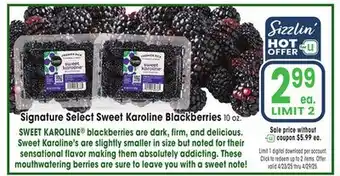 Jewel-Osco Signature Select Sweet Karoline Blackberries offer