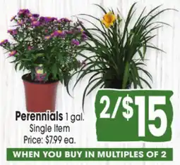 Jewel-Osco Perennials offer