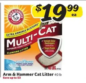 Winn Dixie Arm & Hammer Cat Litter offer