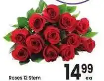 Albertsons Roses 12 Stem offer