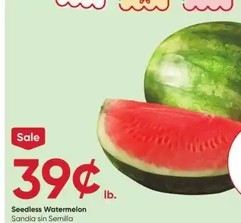 Stater Bros Seedless Watermelon offer