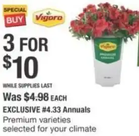 The Home Depot Vigoro 4.33 Annuals offer