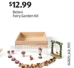 Aldi Belavi Fairy Garden Kit offer