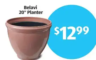 Aldi Belavi 20 Planter offer