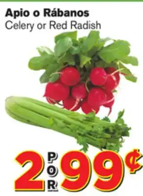 El Super Fresh Celery or Red Radish offer