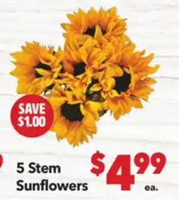 Vallarta Supermarkets 5 Stem Sunflowers offer