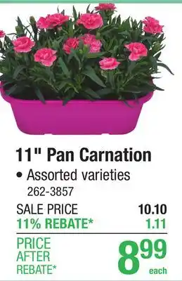 Menards 11 Pan Carnation offer