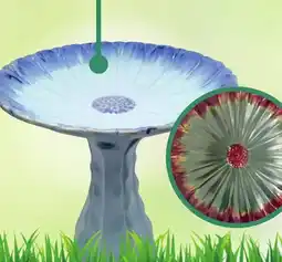 Menards Enchanted Garden 19-3/4 Blue Aster Ceramic Bird Bath offer