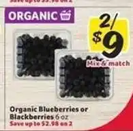 Winn Dixie Organic Blueberries or Blackberries offer