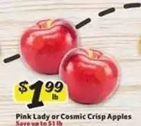 Winn Dixie Pink Lady or Cosmic Crisp Apples offer