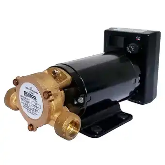 Walmart Groco SPO Heavy Duty Vane Pump, 12V offer
