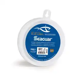 Walmart Seaguar Blue Label 100% Flourocarbon Fishing Line (DSF), 4lbs, 25yds Break Strength/Length - 04FC25 offer