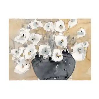 Walmart Samuel Dixon 'Another White Blossom II' Canvas Art offer