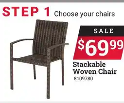 Ace Hardware Stackable Woven Chair offer