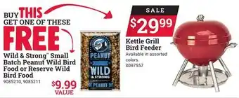 Ace Hardware Kettle Grill Bird Feeder offer