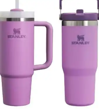 Ace Hardware Stanley The Quencher or The IceFlow offer