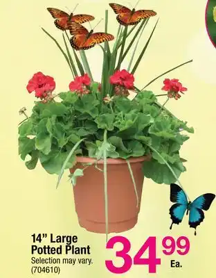 Ace Hardware 14 Large Potted Plant offer