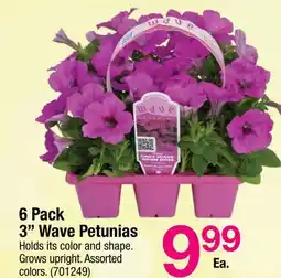 Ace Hardware 6 Pack 3 Wave Petunias offer