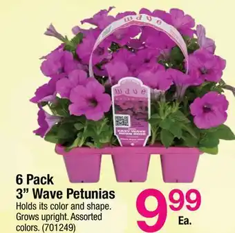 Ace Hardware 6 Pack 3 Wave Petunias offer