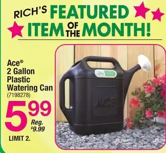 Ace Hardware Ace 2 Gallon Plastic Watering Can offer