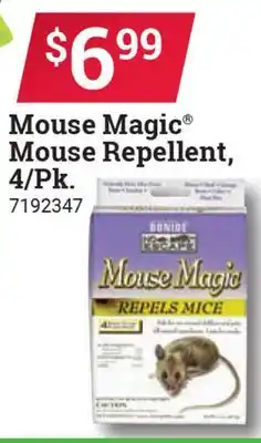 Ace Hardware Mouse Magic Mouse Repellent, 4/pk offer