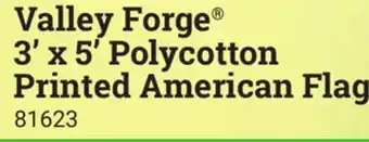 Ace Hardware Valley Forge 3' x 5' Polycotton Printed American Flag offer
