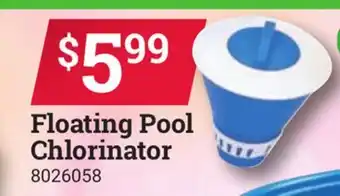 Ace Hardware Floating Pool Chlorinator offer