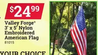 Ace Hardware Valley Forge 3' x 5' Nylon Embroidered American Flag offer