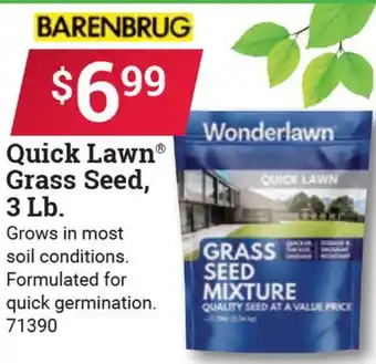 Ace Hardware Quick Lawn Grass Seed, 3 Lb offer