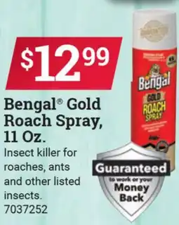 Ace Hardware Bengal Gold Roach Spray, 11 Oz offer