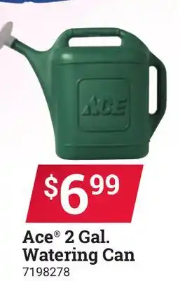 Ace Hardware Ace 2 Gal. Watering Can offer