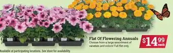 Ace Hardware Flat Of Flowering Annuals offer