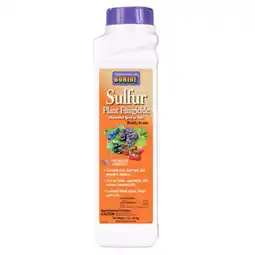 Walmart Bonide Products 141 1 lbs. Sulfur Plant Fungicide Micronized Spray Or Dust offer