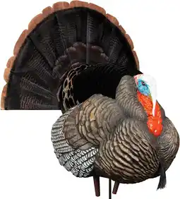 Walmart Higdon Outdoors Full Strut Tom Turkey Decoy W/ Magnetic Removeable Fan offer