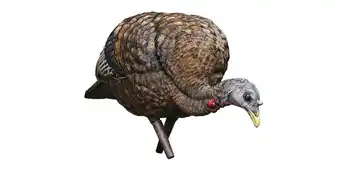 Walmart Avian-X LCD Feeder Hen Turkey Decoy, AVX8007 offer