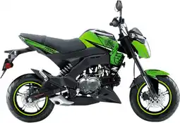 Walmart D'Cor Visuals Team Green Z125 Pro Graphics Kit (20-20-337) offer