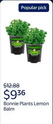Walmart Bonnie Plants Lemon Balm offer