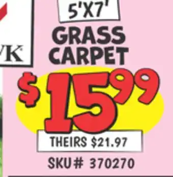 Ollie's GRASS CARPET offer