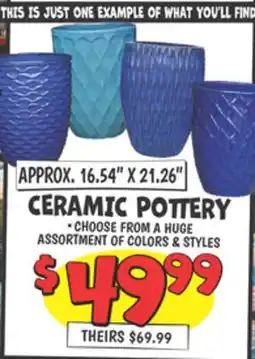 Ollie's CERAMIC POTTERY offer
