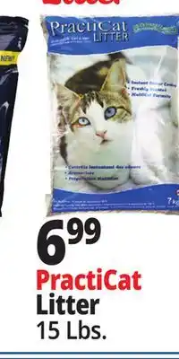 Ocean State Job Lot Premium Scoopable Cat Litter 15 lbs offer