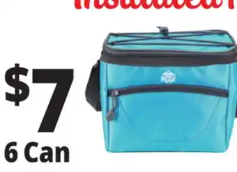 Ocean State Job Lot North Peak Insulated Cooler 6-Can offer