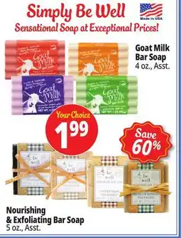 Ocean State Job Lot Simply Be Well Soap offer