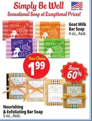 Ocean State Job Lot Simply Be Well Soap offer