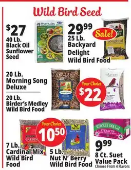 Ocean State Job Lot Wild Bird Seed offer