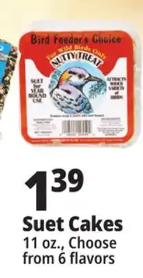 Ocean State Job Lot Bird Feeder's Choice High Energy Suet 11 oz offer